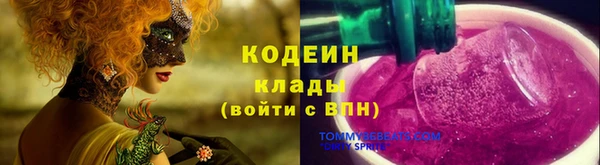 прущие крисы Балахна